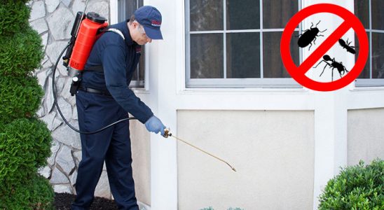 Otlukbeli Böcek ve Haşere İlaçlama böcek ilaçlama ve haşere kontrolü — ilaclama-tr.com